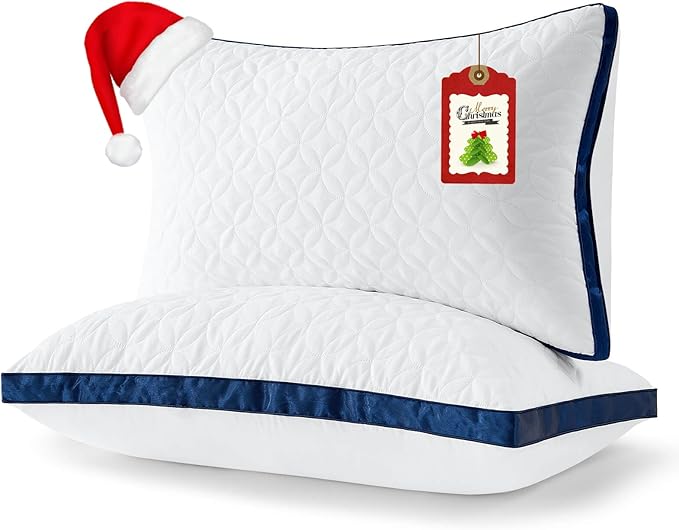 Pillows Queen Size Set of 2, Cooling Pillow Hotel Luxury Queen Bed Pillows 2 Pack for Back, Stomach or Side Sleeper, Fluffy Pillow with Down Alternative for Sleeping, Machine Washable
