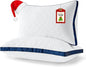 Pillows Queen Size Set of 2, Cooling Pillow Hotel Luxury Queen Bed Pillows 2 Pack for Back, Stomach or Side Sleeper, Fluffy Pillow with Down Alternative for Sleeping, Machine Washable