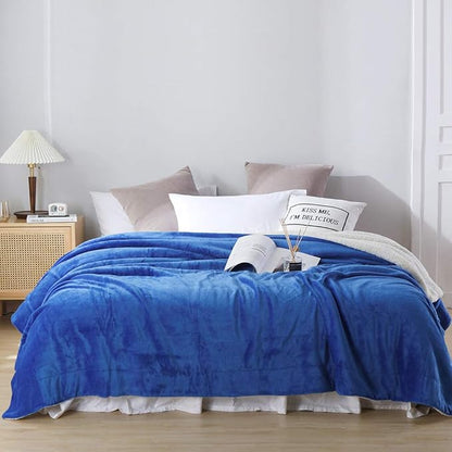 NANPIPER Bed Blanket Reversible Sherpa Flannel Blanket Super Soft Fuzzy Plush Fleece Microfiber (90"x90" Princess Blue) Queen