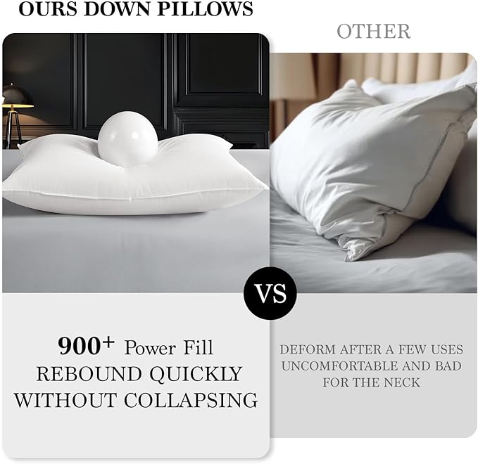 Shilucheng Goose Down Pillow Queen Size Set of 1 Pack,900+ Fill Power Luxury Hotel Quality Bed Feather Pillow for Side Back Stomach Sleepers, Soft 100% Cotton Shell（White,20" x 30"）
