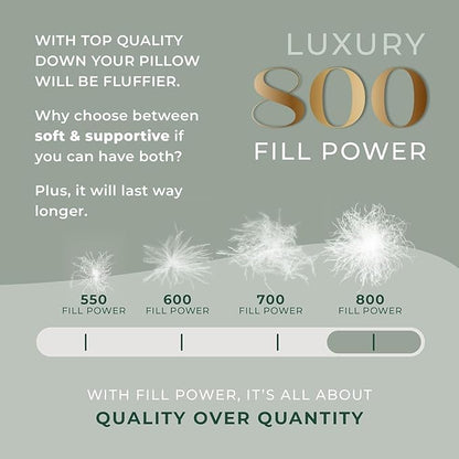 Standard Size - Set of 2 - Soft Luxury Hotel Pillow - 100% European Goose Down 800FP - Featherless for Comfortable Sleep
