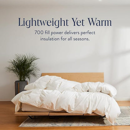 Brooklinen All Season Luxury Down Comforter, 100% Natural Canadian Duck Down Duvet Insert - 700 Fill Power, 100% Cotton Shell, Baffle Box Construction, Full/Queen Size Comforter