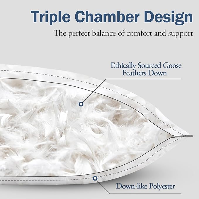 BPC Goose Feather Down Pillows Standard Size Set of 2, Luxury Feather Pillows for Sleeping, 100% Organic Cotton Cover, Soft Support Surround Fill Polyester, Hotel Collection Bed Pillows 20"x26"