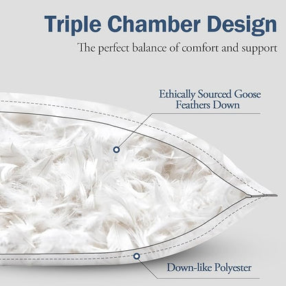 BPC Goose Feather Down Pillows Standard Size Set of 2, Luxury Feather Pillows for Sleeping, 100% Organic Cotton Cover, Soft Support Surround Fill Polyester, Hotel Collection Bed Pillows 20"x26"