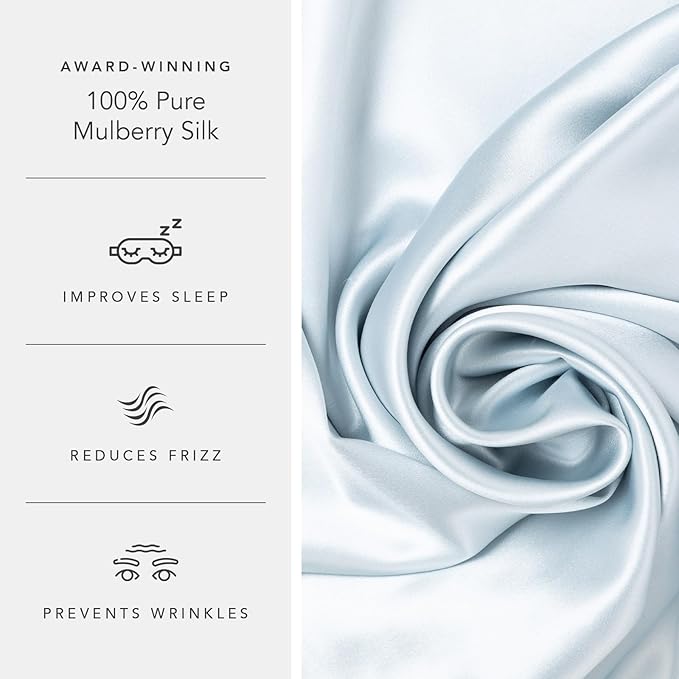 Fishers Finery 25mm 100% Pure Mulberry Silk Pillowcase (Blue Standard 2 Pack)