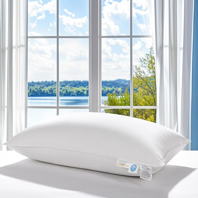 LBRO2M Canadian Fluffy Goose Down Pillow King Size 1050 Fill Power 80% Goose Down with 600TC 100% Cotton Pillow Shell Down Pillows Ideal for Plush Comfort and Support (20"X36", Set of 2)