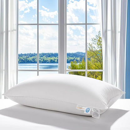 LBRO2M Canadian Fluffy Goose Down Pillow Queen Size 900 Fill Power 80% Goose Down with 600TC 100% Cotton Pillow Shell Down Pillows Ideal for Plush Comfort and Support (20"X30" Set of 2)