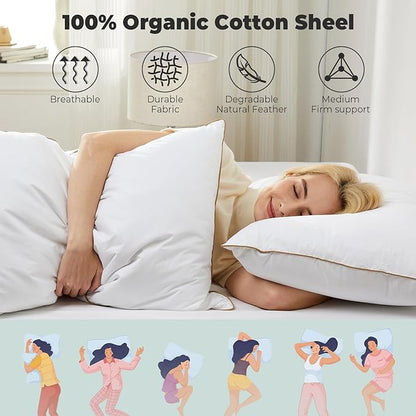 Dreamhood Goose Feather Down Pillows for Sleeping Soft Bed Pillow Standared Size Set of 2 Cooling Down Pillows for Twin Bed Made in USA with 100% Cotton Cover 20 x 26 Inches