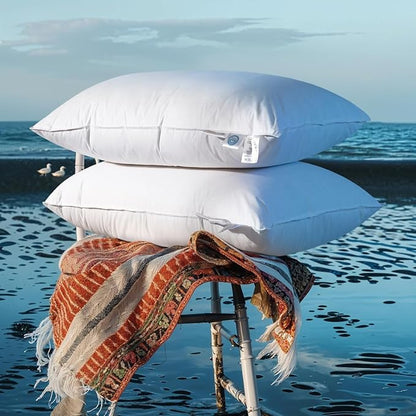Shilucheng Canadian Goose Down Pillows Queen Size Set of 2, 900+ Fill Power Side Sleeper Pillow for Sleeping Neck Pain Relief,100% Cotton Shell 600 Thread Count Hotel Quality Pillows（White,20" x 30"）