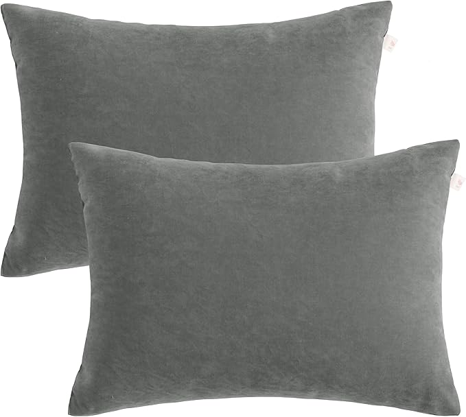 BEDSUM 2 Pack Pillows, 13"x18" Microfiber Pillow for Travel, Pets, Soft and Machine Washable Small Pillows for Neck, Wrist, and Knee Comfort, Dark Grey