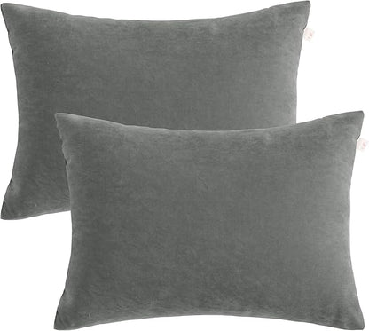 BEDSUM 2 Pack Pillows, 13"x18" Microfiber Pillow for Travel, Pets, Soft and Machine Washable Small Pillows for Neck, Wrist, and Knee Comfort, Dark Grey