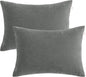 BEDSUM 2 Pack Pillows, 13"x18" Microfiber Pillow for Travel, Pets, Soft and Machine Washable Small Pillows for Neck, Wrist, and Knee Comfort, Dark Grey