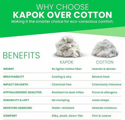 Bean Products Premium Kapok Fill | 2.5 lbs | 100% Organic Kapok Fiber | Chemical Free and Hypoallergenic | Perfect for Pillows, Pet Beds, Couches & More | Made in USA
