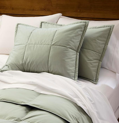 Cuddledown Chroma Comforter Sham | Soft, Lightweight | Oeko-TEX Standard 100 | Standard | 21" x 27" | Meadow