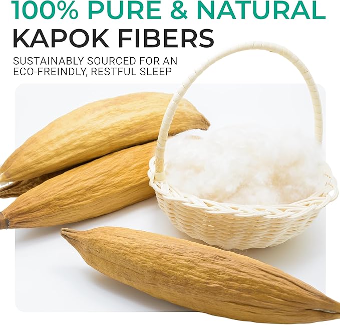 Cheer Collection Set of 2 Organic Kapok Bed Pillows, Natural Kapok Fiber Filled Sleeping Pillows with Breathable Cotton Shell, King Size, 20 x 36 inches