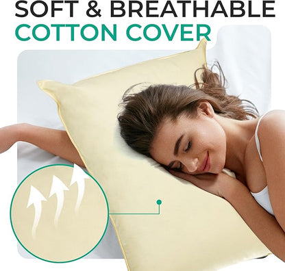 Cheer Collection Set of 2 Organic Kapok Bed Pillows, Natural Kapok Fiber Filled Sleeping Pillows with Breathable Cotton Shell, Standard Size, 20 x 28 inches