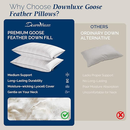 downluxe Goose Feather and Down Pillows - Hotel Collection Feather Pillows for Back, Stomach or Side Sleepers, Bed Pillows Queen Size Set of 2 (20"x28")