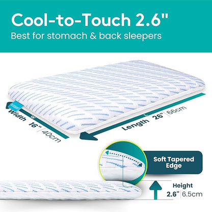 BLISSBURY Cooling Memory Foam Pillow, 2.6 Inch Thin, for Stomach & Back Sleeper, Queen Size, Removable Cool-Tech Cover, CertiPUR-US Certified