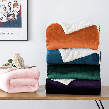 IR Imperial Rooms Sherpa Fleece Throw Blanket Twin Size for Couch - Thick and Warm Fluffy Rust Blankets for Winter, Soft and Fuzzy Twin Blanket for Bed, 60x80 Inches
