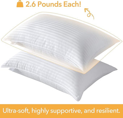 Oubonun Queen Size Pillows Set of 2 - Fluffy & Supportive Down Alternative Pillows with Zippered Cotton Cover - Breathable and Cool for All Sleeping Positions - Machine Washable - 20"x30"