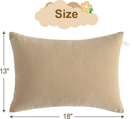 BEDSUM 2 Pack Pillows, 13"x18" Microfiber Pillows for Travel, Pets, Soft and Machine Washable Small Pillow for Neck, Wrist, and Knee Comfort, Taupe