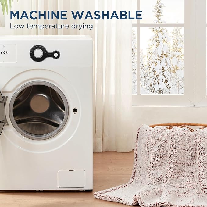 Westinghouse Electric Blanket Throw Size, Soft Plush Sherpa Heated Blanket with 6 Heating Levels & 2-10 Hours Auto-Off, Machine Washable, 50x60 inches, Rust