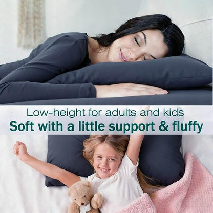 Flat Ultra Thin Bed Pillows Queen Size Pillow Set of 2 Extra Soft Down Alternative for Stomach Side Back Sleeper Dark Blue 20x30inches