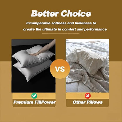 Luxurious Down Pillows - Standard Size, High Fill Power, Breathable Cotton Blend Shell,Down Pillow Ideal for Every Night - Pack of 1 (20" x 26")