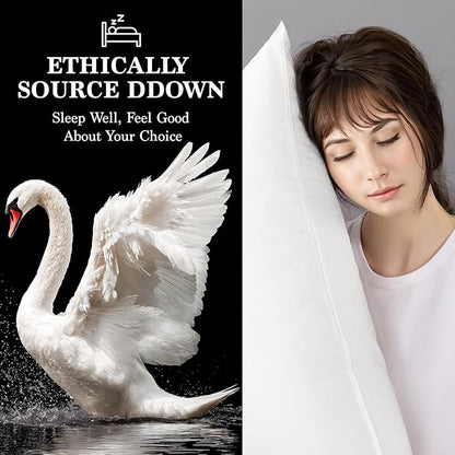 Shilucheng Goose Down Pillow Queen Size Set of 2 Pack,900+ Fill Power Luxury Hotel Quality Bed Feather Pillow for Side Back Stomach Sleepers, Soft 100% Cotton Shell（White,20" x 30"）