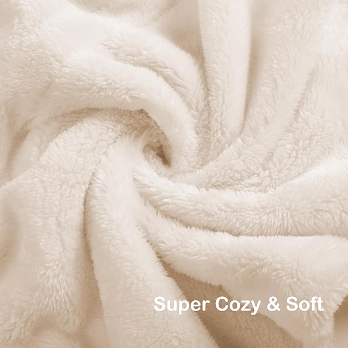 Electric Heated Blanket Queen Size 84"x90", Dual Control Fast Heating Cozy Heated Blanket for Bed, 10 Hours Auto Off & 4 Heating Levels, Warm Gift for Grandma-White