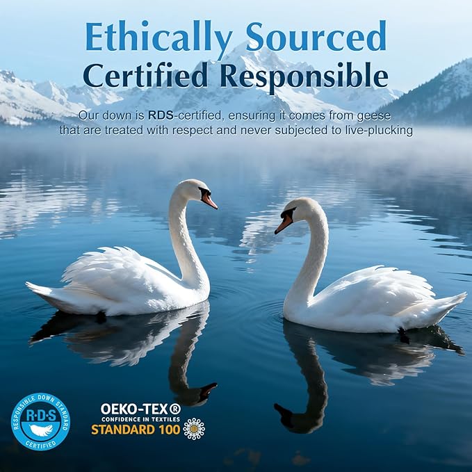 Luxury Goose Feather Down Pillows Standard Size Set of 2, 3-Chamber 5 Star Hotel Pillow for Deep Sleep, Soft Bed Pillows for Neck Pain Relief, Perfect for Side, Back Sleepers - 20"x26"