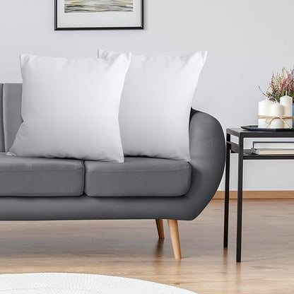 Utopia Bedding Throw Pillows Insert (Pack of 2, White) - 22 x 22 Inches Bed and Couch Pillows - Indoor Decorative Pillow
