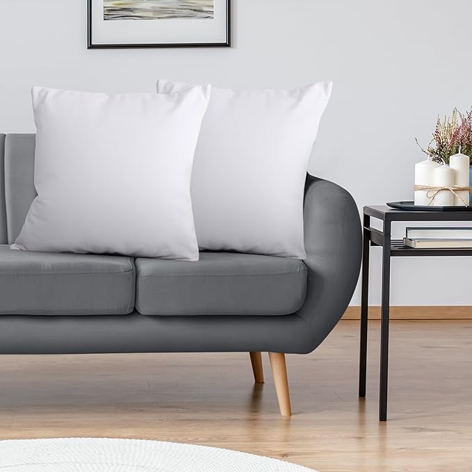 Utopia Bedding Throw Pillows Insert (Pack of 2, White) - 26 x 26 Inches Bed and Couch Pillows - Indoor Decorative Pillow