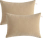 BEDSUM 2 Pack Pillows, 13"x18" Microfiber Pillows for Travel, Pets, Soft and Machine Washable Small Pillow for Neck, Wrist, and Knee Comfort, Taupe