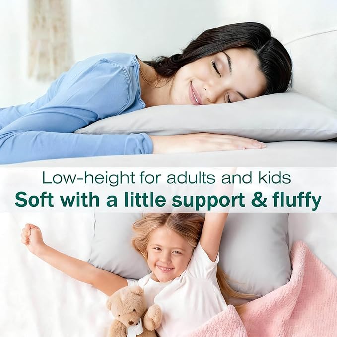 Flat Ultra Thin Bed Pillows Queen Size Pillow Set of 2 Extra Soft Down Alternative for Stomach Side Back Sleeper Light Grey 20x30inches