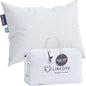 Lincove Signature 100% Natural Canadian White Down Pillow - Luxury Sleeping Pillow for Back, Stomach & Side Sleepers - 800 Fill Power, 500 Thread Count, Made in Canada, Queen - Medium, 1 Pack