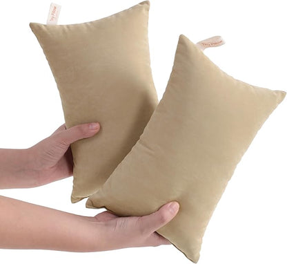 NTBAY Tiny Pillows, Down Alternative 7"x11" Microfiber Mini Pillow for Travel, Pets, Soft Machine Washable Small Pillows for Neck, Wrist, Lumbar and Knee, Light Taupe