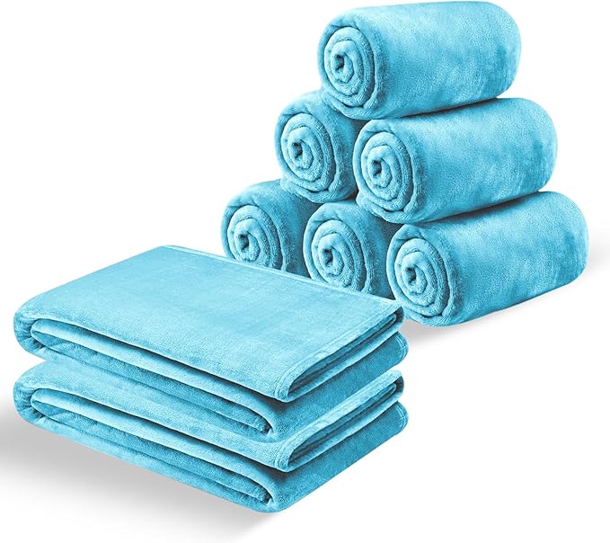 IR Imperial Rooms Fleece Blankets Queen Size 90x90 Inches- 8 Pack - Super Soft Fluffy Throw Blanket for Sofa and Bed - Warm and Cozy Lightweight 400 GSM Microfiber Bed Throws Blankets (Light Blue)