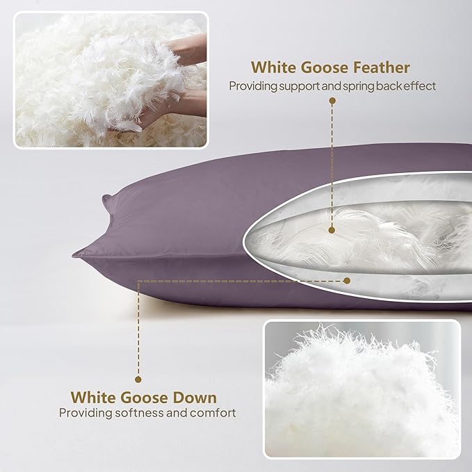 Goose Down Body Pillows for Adults, Large Body Pillow for Side Sleeper, Hugging Feather Body Pillow Insert, Cooling Full Length Long Pillow for Bed with 100% Organic Cotton Shell, Blackcurrant 20"x60"