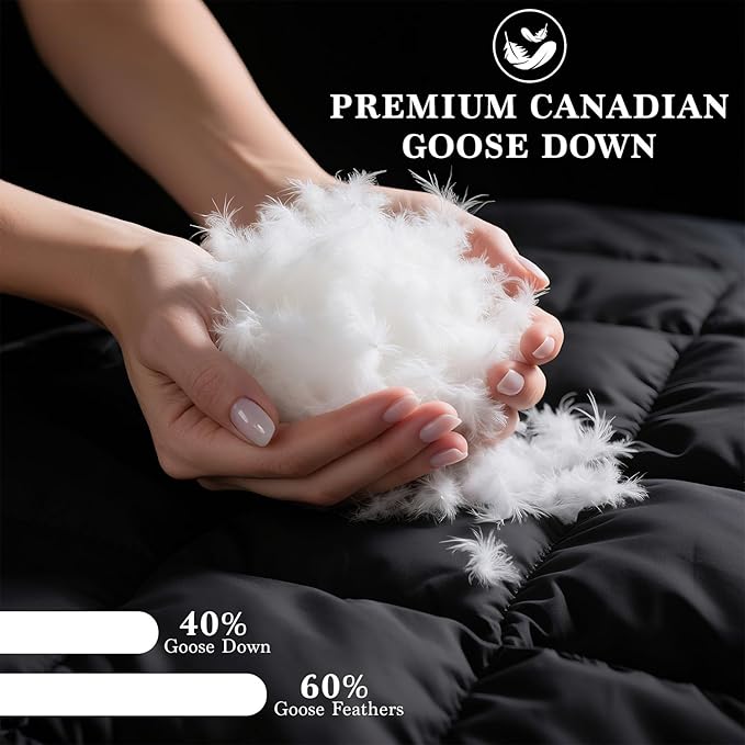 Shilucheng Goose Down Pillow Queen Size Set of 1 Pack,900+ Fill Power Luxury Hotel Quality Bed Feather Pillow for Side Back Stomach Sleepers, Soft 100% Cotton Shell（White,20" x 30"）