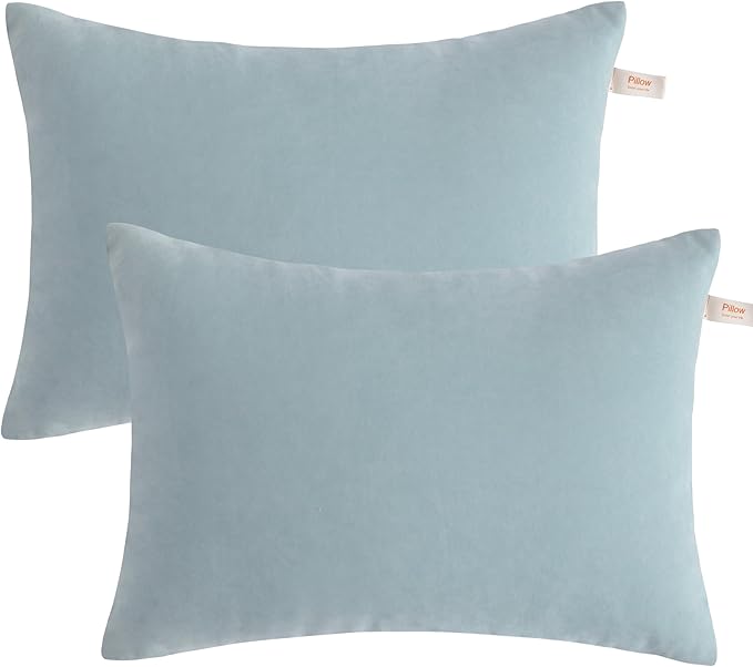 BEDSUM 2 Pack Pillows, 13"x18" Microfiber Pillow for Travel, Pets, Soft and Machine Washable Small Pillows for Neck, Wrist, and Knee Comfort, Sea Green