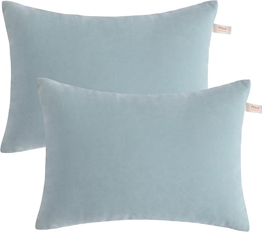 BEDSUM 2 Pack Pillows, 13"x18" Microfiber Pillow for Travel, Pets, Soft and Machine Washable Small Pillows for Neck, Wrist, and Knee Comfort, Sea Green