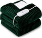 HYLEORY Heated Blanket Electric Full Size, Soft Flannel Sherpa Heater 5 Heat Settings and 10 Hours Auto Shut-Off Heating Blanket ETL Certification Over-Heat Protection Machine Washable,Green