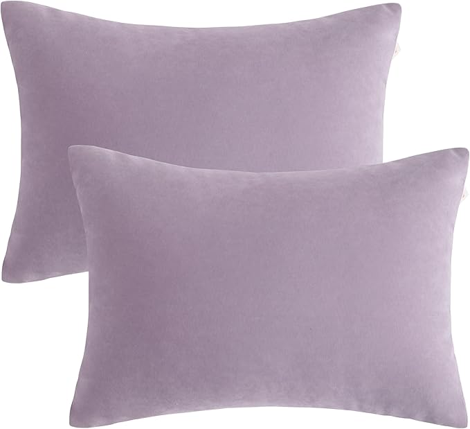 BEDSUM 2 Pack Pillows, 13"x18" Microfiber Pillow for Travel, Pets, Soft and Machine Washable Small Pillows for Neck, Wrist, and Knee Comfort, Lavender