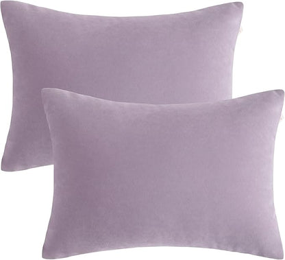 BEDSUM 2 Pack Pillows, 13"x18" Microfiber Pillow for Travel, Pets, Soft and Machine Washable Small Pillows for Neck, Wrist, and Knee Comfort, Lavender