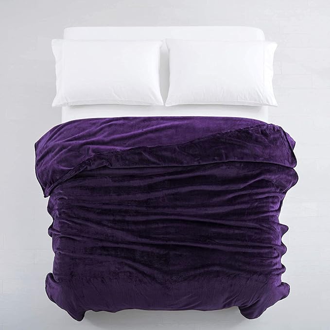IR Imperial Rooms Fleece Blanket Twin Size 60 x 80 Inches - Super Soft Fluffy Purple Throw Blanket for Sofa and Bed - Warm and Cozy Lightweight 400 GSM Microfiber Bed Throws Blankets