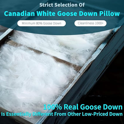 Shilucheng Canadian Goose Down Pillows Standard Size Set of 1, 750+ Fill Power Side Sleeper Pillow for Sleeping Neck Pain Relief,100% Cotton Shell Hotel Quality Pillows（White,20" x 26"）