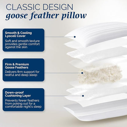 downluxe Goose Feather and Down Pillows - Hotel Collection Feather Pillows Set of 2 for Back, Stomach or Side Sleepers, Queen Size (20"x28")