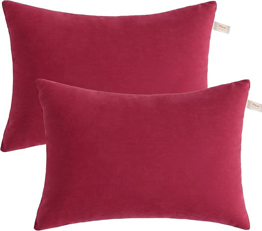 BEDSUM 2 Pack Pillows, 13"x18" Microfiber Pillow for Travel, Pets, Soft and Machine Washable Small Pillows for Neck, Wrist, and Knee Comfort, Red