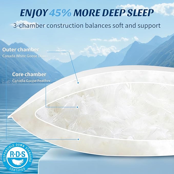 Hungarian White Goose Down Bed Pillows 750 Fill Power 80% Goose Down 20% Goose Feather Sleep Pillows with 600 TC 100% Cotton Shell Luxury Bed Pillow (Off White 26“X20, Pack of 1)